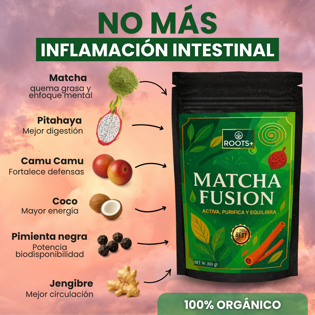 Matcha Fusion con Superalimentos - Roots™ (250gr)